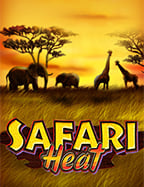 กติกาบาคาร่าสากล แบบเต็มรูปแบบสำหรับเซียน